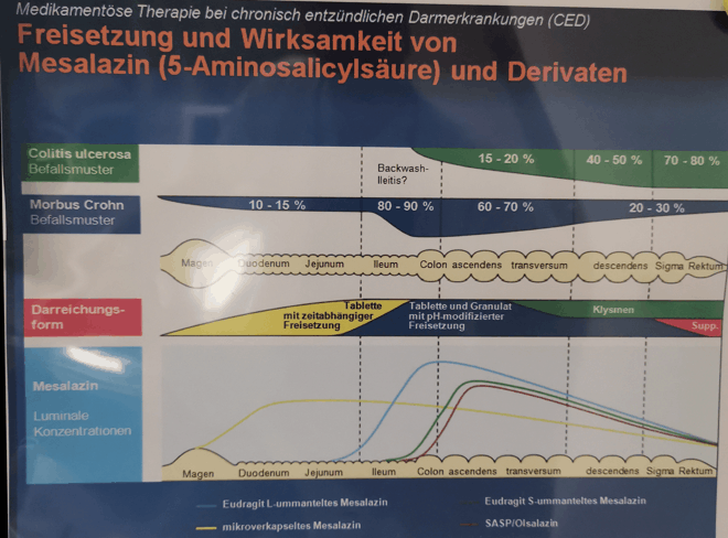 Mesalazin Wirkort nach Galenik